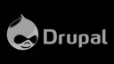 Drupal Developement